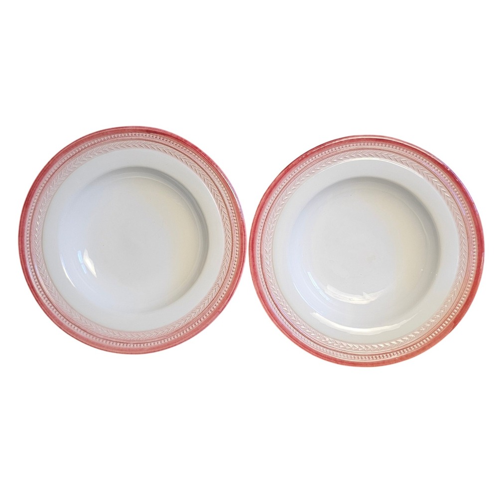 Williams Sonoma Italy Pink Laurel Embossed Rim Soup Pasta Bowls Set of 2 9.5"